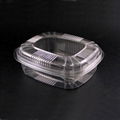 Plastic Food Container (Food and Cake Box) 1