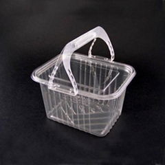 Plastic Food Container (PET calathus)