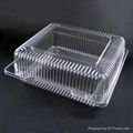 Disposable Plastic Food Container(Cake & Fruit Box) 1