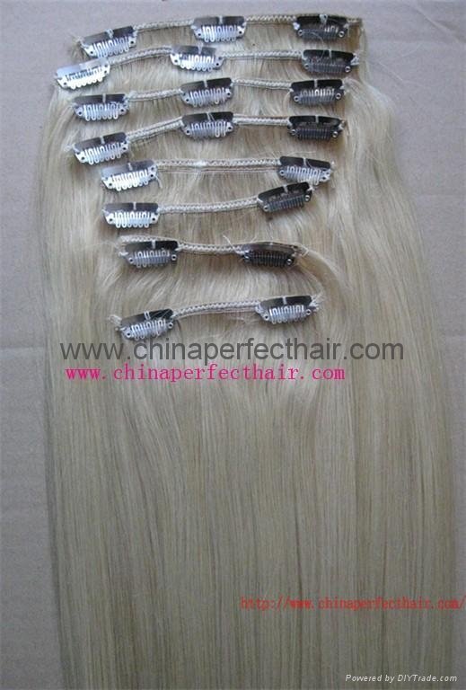 clip in human hair extension