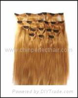 clip in human hair extension 2