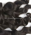 Virgin Brazilian Hair 4