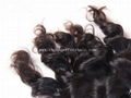 Unproccessed Brazilian Hair 5