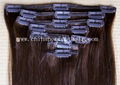 clip on hair extensions 1