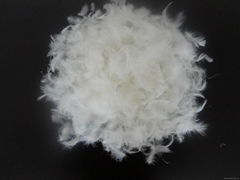 white duck feather