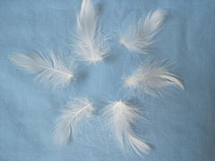 washed white duck feather