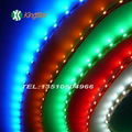 3528 LED Strip 2