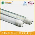 Approved LED Tubes 2