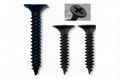 Drywall Screw