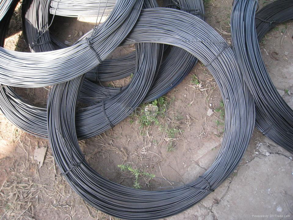 Black Iron Wire Annealed Wire 3
