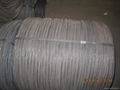 Black Iron Wire Annealed Wire