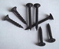 Coarse Thread Drywall Screw