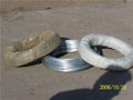 Electro Galvanized Wire 3