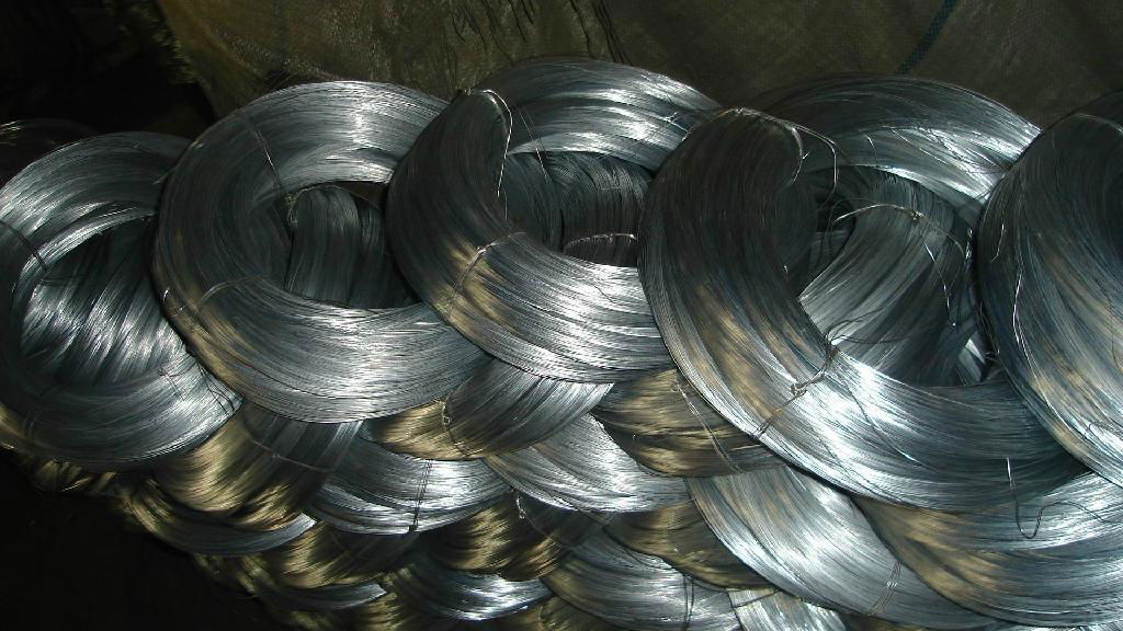 Electro Galvanized Wire 5