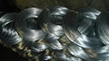 Electro Galvanized Wire