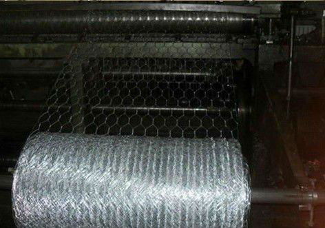 Hexagonal Wire Mesh 4