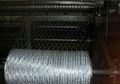 Hexagonal Wire Mesh