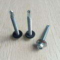 Hex Head Self Driling Screw with EPDM Washer