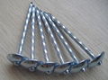 Galvanized Roofing Nail 5