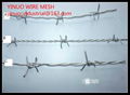 Barbed Wire 1