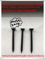 Black Phosphate Fine Thread Phillips Bugle Head Drywall Screw