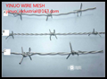 Galvanized Barbed Wire 2
