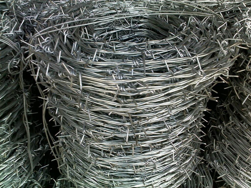 Galvanized Barbed Wire