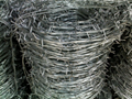 Galvanized Barbed Wire 1