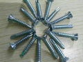 Galvanized Countersunk Self Drilling Screw 2