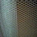 Hexagonal Wire Mesh Chicken Netting