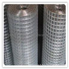 Welded Wire Mesh 4