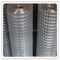 Welded Wire Mesh 4