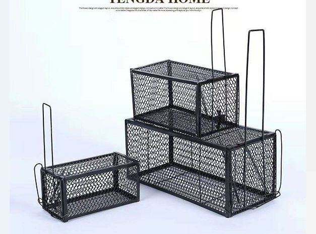 The Mouse Cage