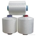 DTY Draw textured yarn Polyester filament yarn