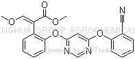 Azoxystrobin, Azoxistrobin, Azoxystrobine, Азоксистробін