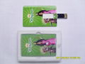  Card USB Flash DISK /USB FLASH DRVIE /USB MEMORY/PEN DRIVE 1