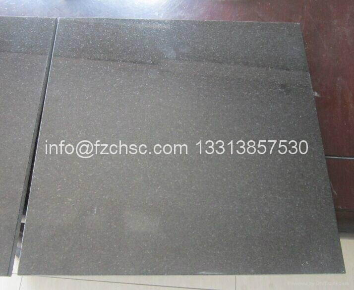 Absolute black granite tile 2