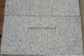 New white granite--Inner Mongolia white granite 5