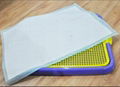 Disposable Underpad for Pet 1