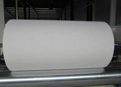 Mother Roll for Convert Toilet Tissue Roll