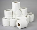 Bathroom Tissue Roll 1