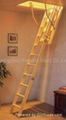 Telescopic ladder 1