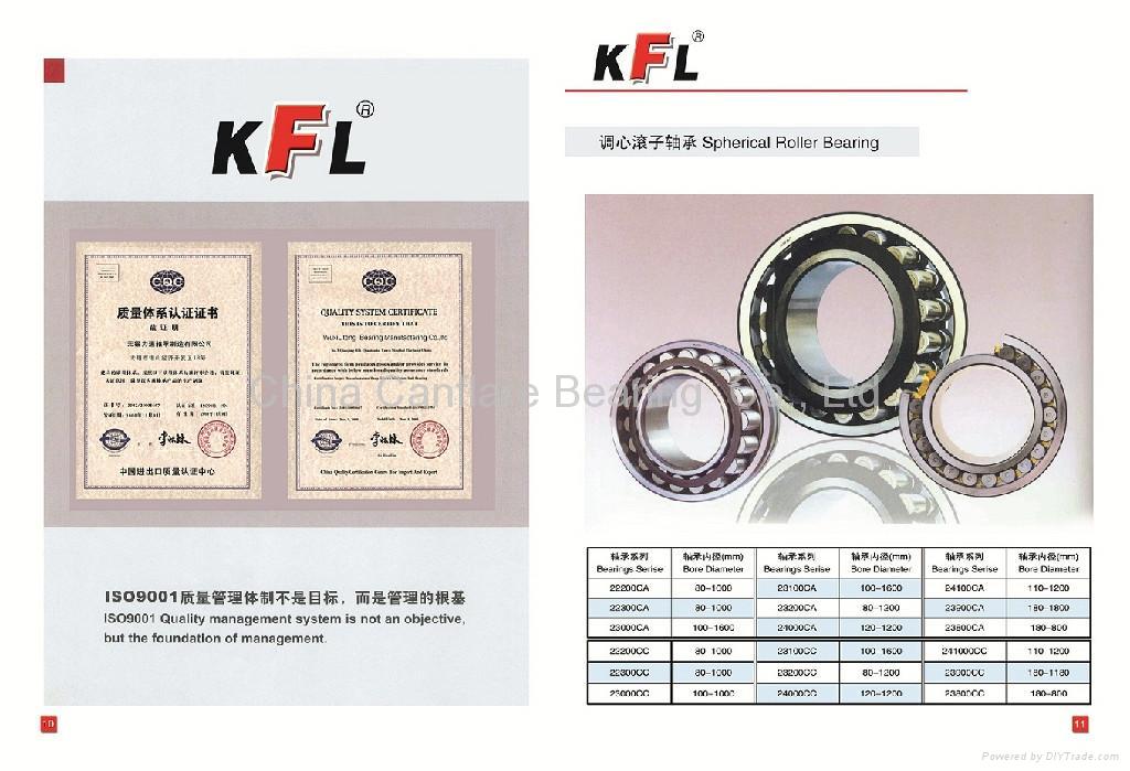 NTN KOYO NSK BEARINGS 22215CA/W33C3 SKF NSK NTN JKL KOYO (China