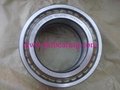INA      SL045012 PP    Cylindrical Roller Bearing 2