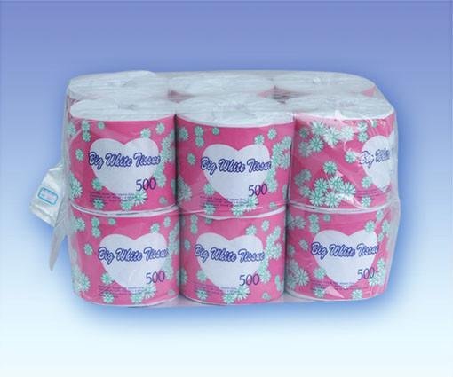 Toilet Tissue Paper 5