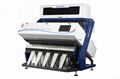 Rice Color Sorter 4