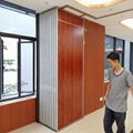 Factory Direct Selling Conference Room Soundproof Mobile Partition-STC43db