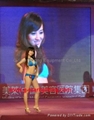 p16全彩顯示屏