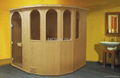 Sauna house steam room