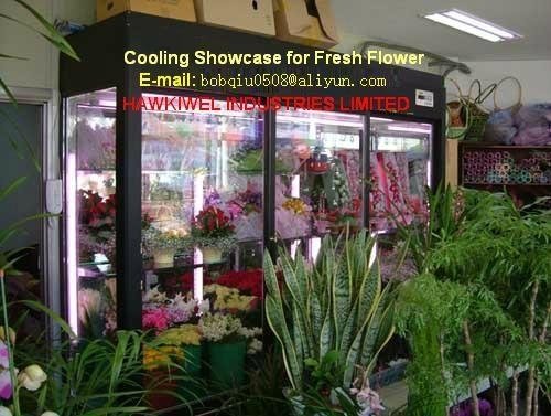 refrigeration display for fresh flower